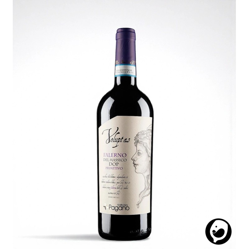 2023 Voluptas Falerno del Massico Primitivo DOP 2023 Voluptas Falerno del Massico Primitivo DOP