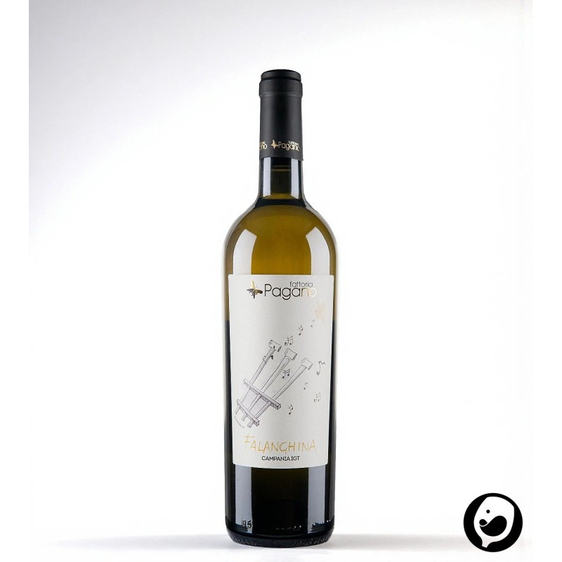 2024 Falanghina Campania IGT