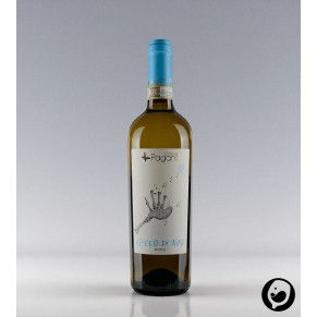 Greco di Tufo – Fattoria Pagano | Mineralischer Weißwein aus Kampanien