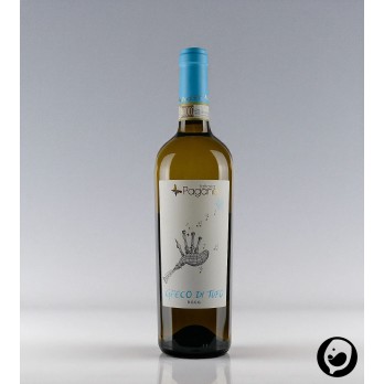 Greco di Tufo – Fattoria Pagano | Mineralischer Weißwein aus Kampanien