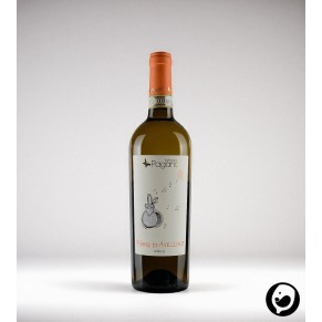 Fiano di Avellino – Fattoria Pagano | Eleganter Weißwein aus Kampanien