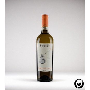 Fiano di Avellino – Fattoria Pagano | Eleganter Weißwein aus Kampanien