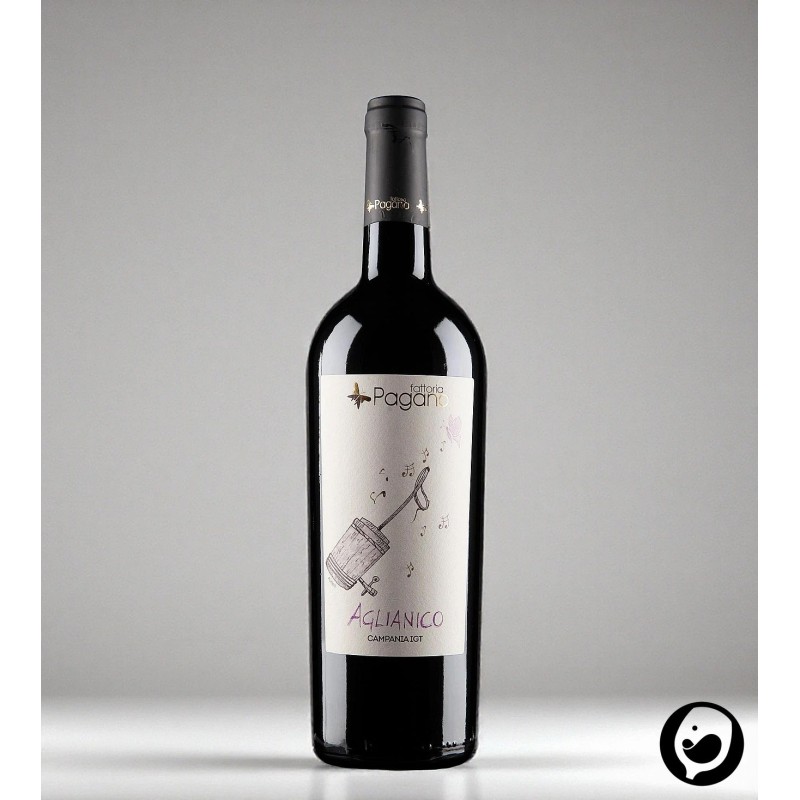 2023 Aglianico Campania IGT