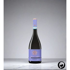 2022 Bardolino Rosso DOC 0,75l