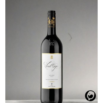 2021 Cont´ugo Bolgheri DOC