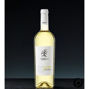 2023 Bianco Salen. I Tratturi 0,75l