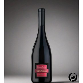 Pruno Nero Lambrusco Grasparossa di Castelvetro DOC – Cleto Chiarli