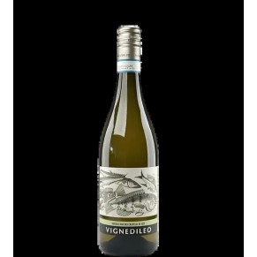 Verdicchio dei Castelli di Jesi