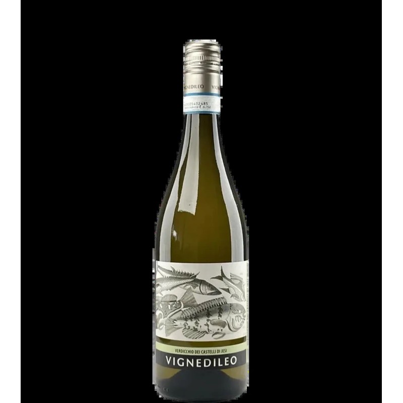 Verdicchio dei Castelli di Jesi