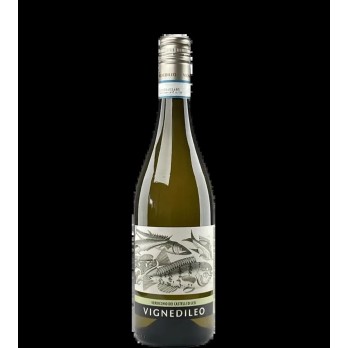 Verdicchio dei Castelli di Jesi