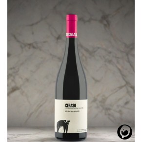 2021 Ceraso Aglianico IGP 0,75l