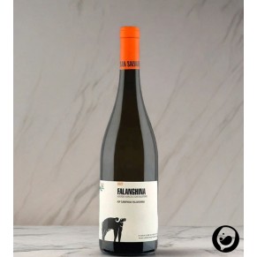 2022 Falanghina IGP 0,75l