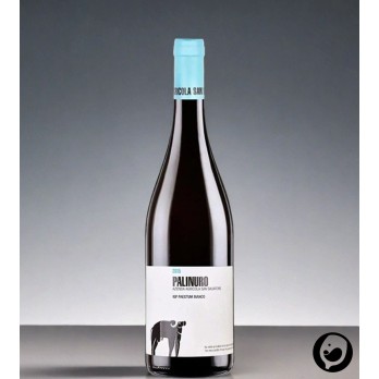 2022 Palinure Campa IGP 0,75l