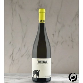 2021 Trentenare Fiano IGP 0,75l