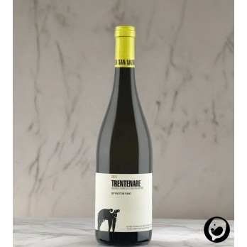 2021 Trentenare Fiano IGP 0,75l