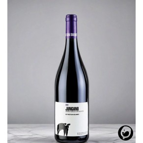 2019 Jungano Aglianico IGP 0,75l