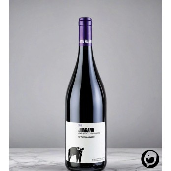 2019 Jungano Aglianico IGP 0,75l