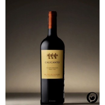 2019 Calicanto D.O Maipo V. 0,75l