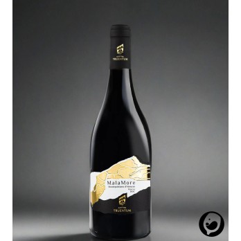 Montepulciano d`Abruzzo DOC Riserva