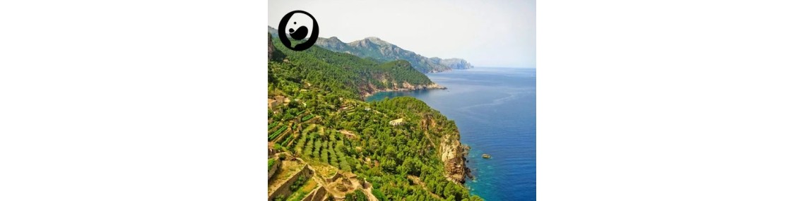 Mallorca